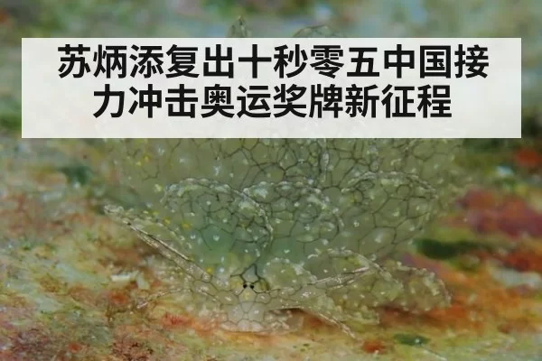 苏炳添复出十秒零五中国接力冲击奥运奖牌新征程